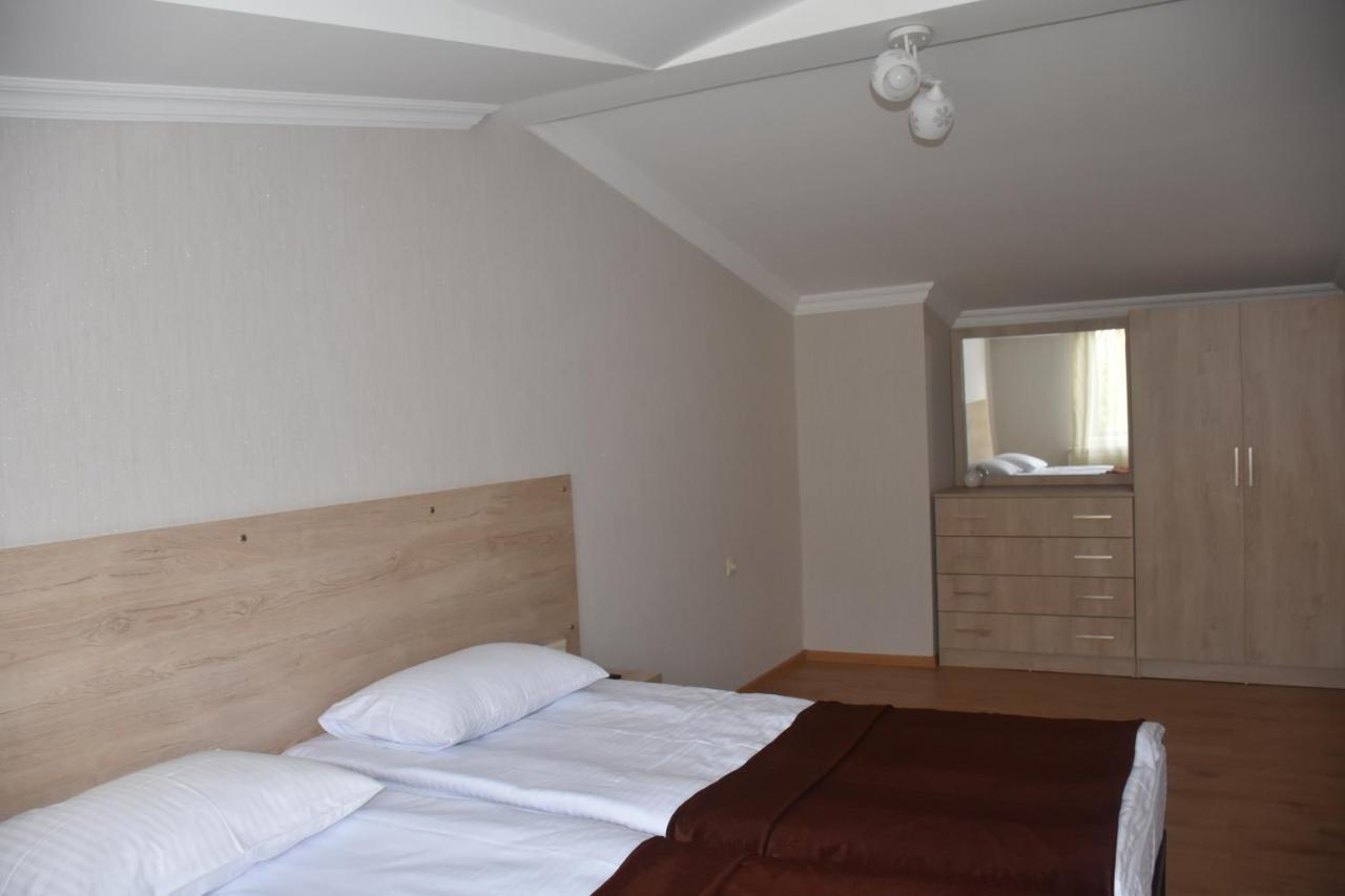 Eleana Villa Borjomi Ngoại thất bức ảnh