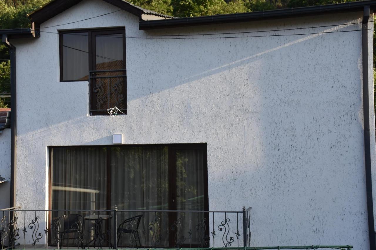 Eleana Villa Borjomi Ngoại thất bức ảnh